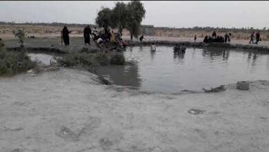 بركة الشفاء 3