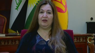 فيان صبري