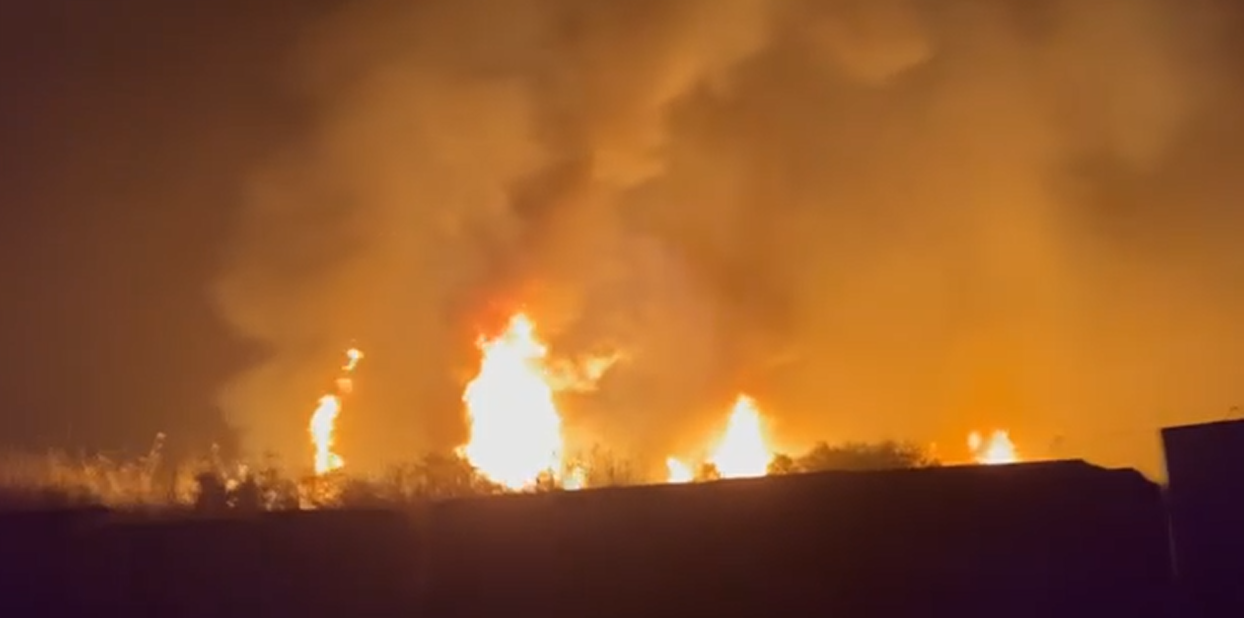 725B633C 2D31 4A8A 80E9 530E4AD4359A