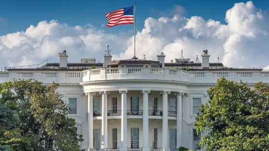 db8c1e06 9031 4025 a42c