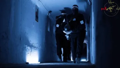 2136b0e6 264d 4833 939c f28b35db1193 780x470 1