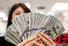 2136b0e6 264d 4833 939c f28b35db1193 780x470 5