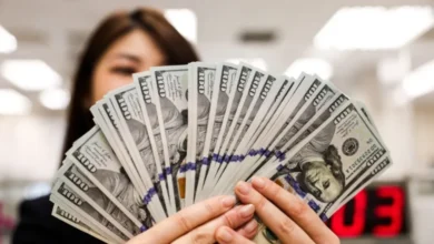 2136b0e6 264d 4833 939c f28b35db1193 780x470 5