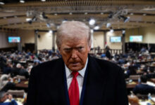 617876307 1218433780390018 6202415299097075223 n 2