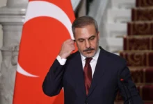 النعمان الجزيرة 3 1