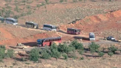 النعمان الجزيرة 3 2